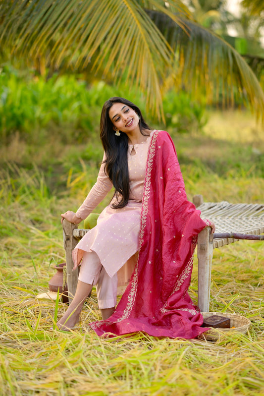 Tissue Brocade Salwar Suit