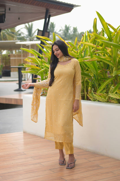 Chiffon Suit Set