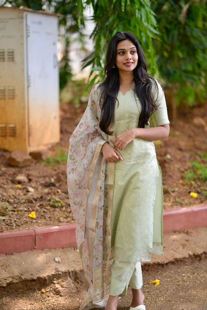 Tissue brocade salwar suit