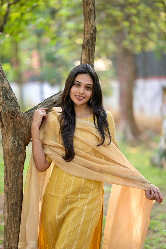 Tissue brocade salwar suit