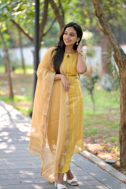 Tissue brocade salwar suit