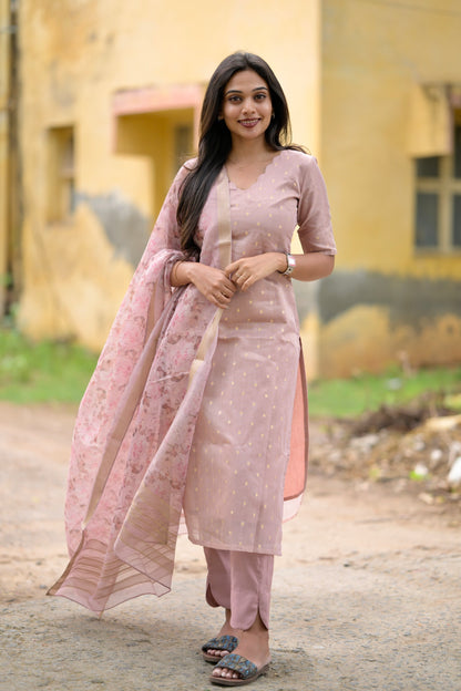 Tissue brocade salwar suit