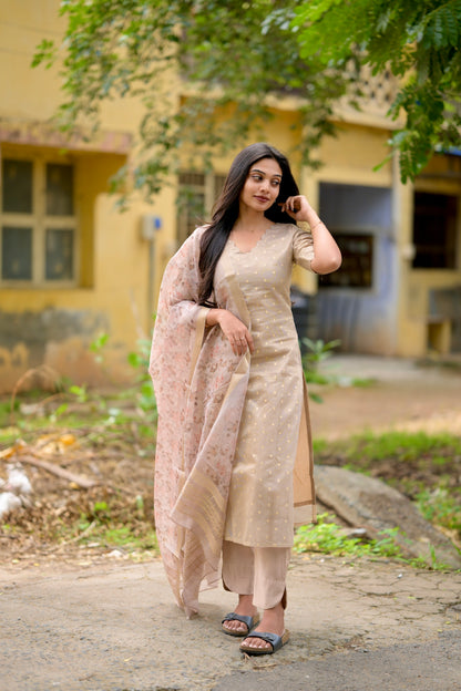 Tissue brocade salwar suit