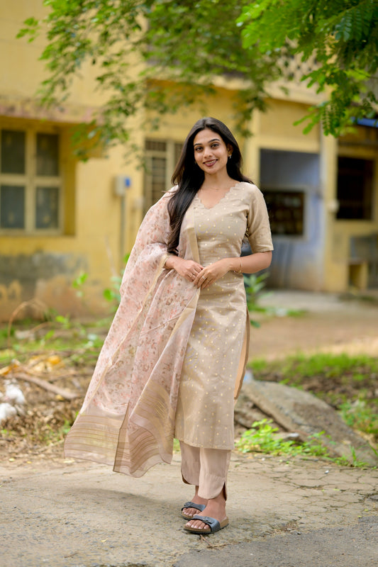 Tissue brocade salwar suit