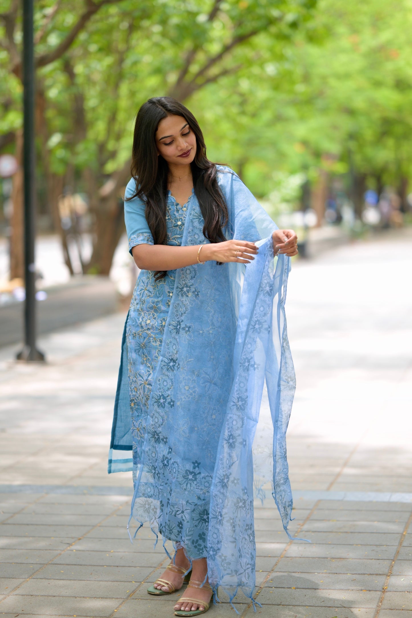 Blue Organza Salwar Suit
