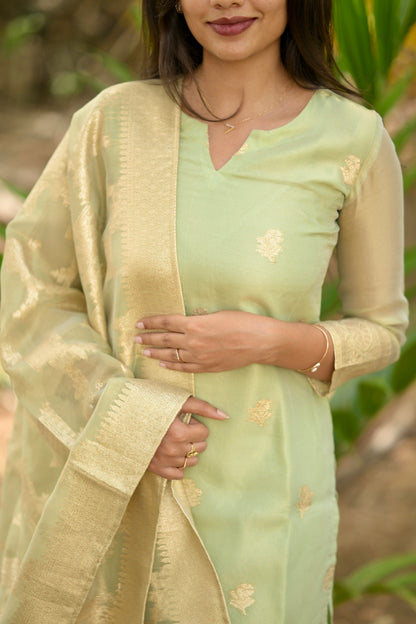 Tissue Brocade Salwar Suit