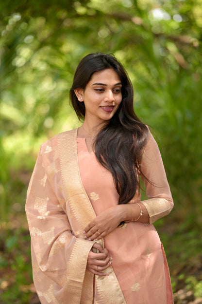 Tissue Brocade Salwar Suit