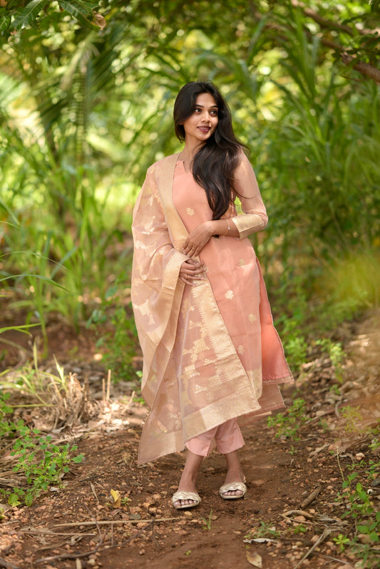 Tissue Brocade Salwar Suit