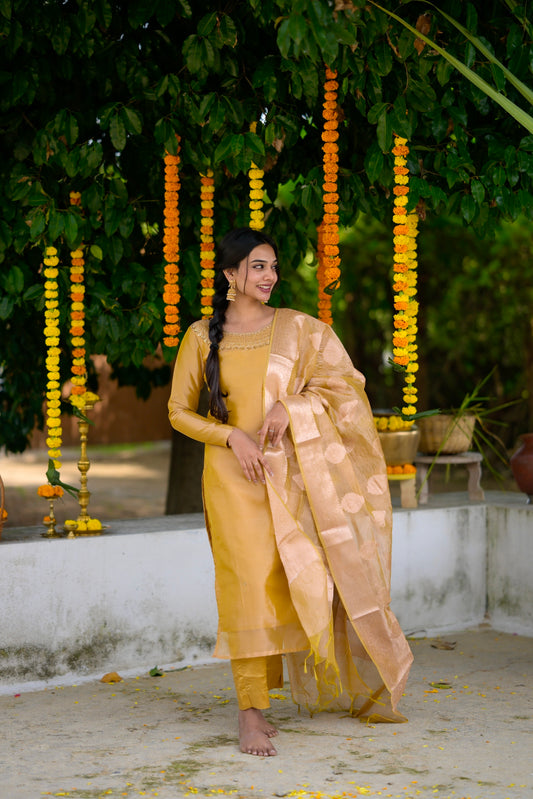 Silk Organza Salwar Suit