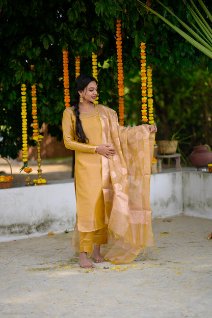 Silk Organza Salwar Suit