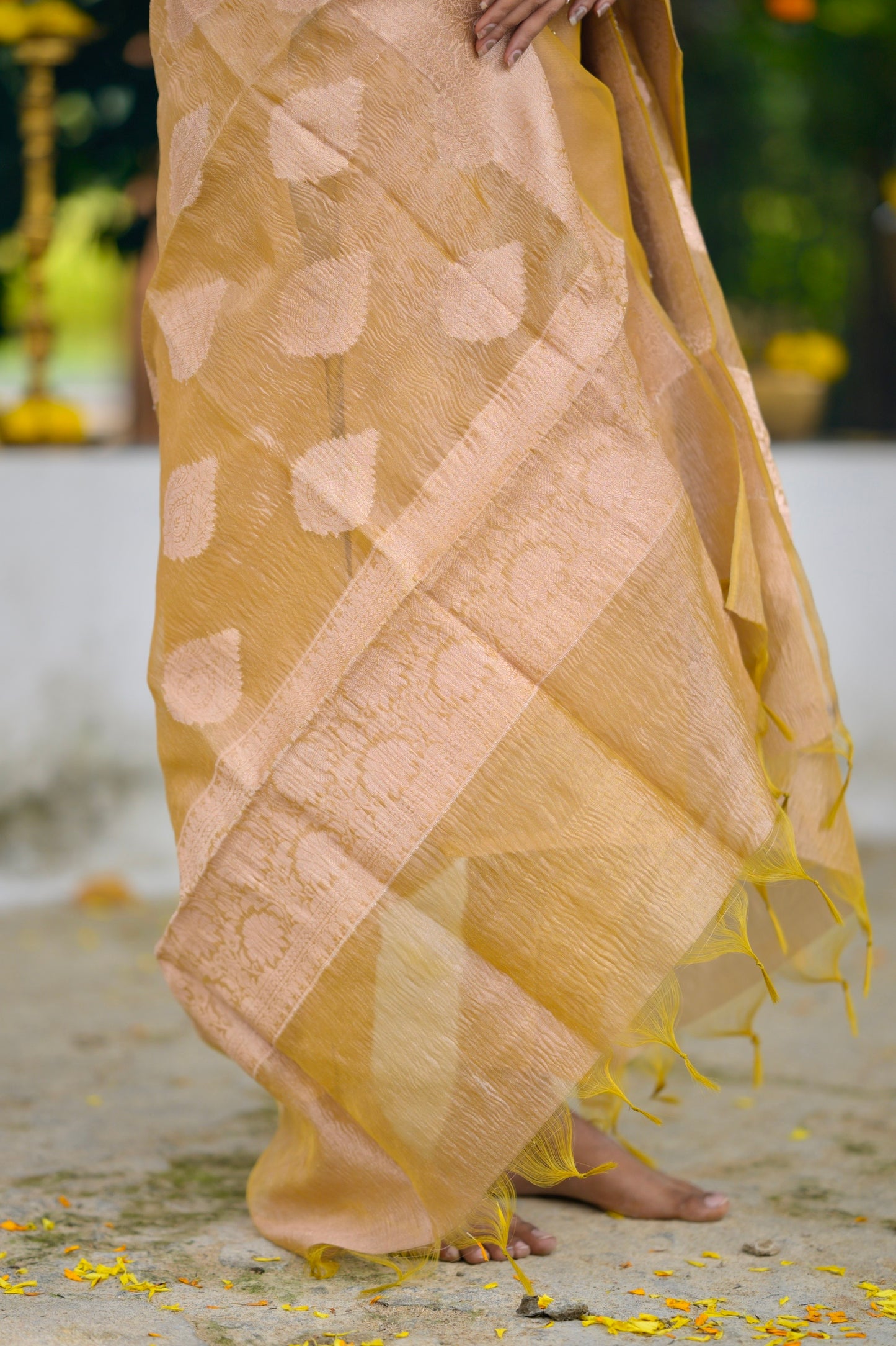 Silk Organza Salwar Suit