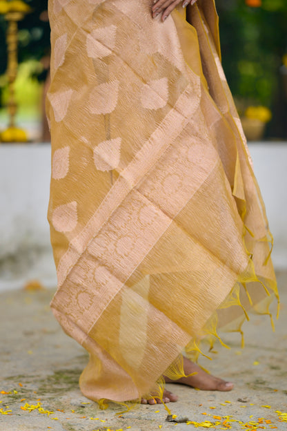 Silk Organza Salwar Suit