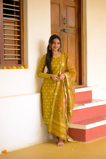 Tissue Brocade Salwar Suit
