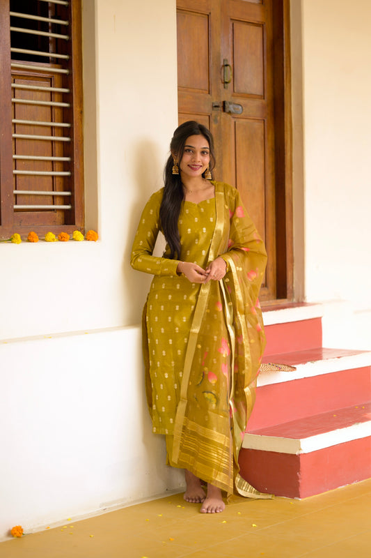 Tissue Brocade Salwar Suit