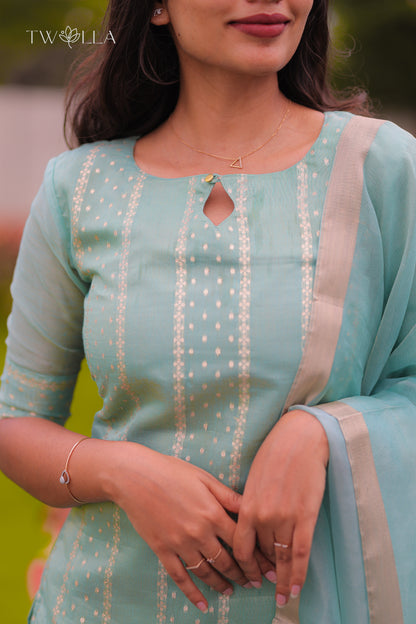 Tissue brocade salwar suit