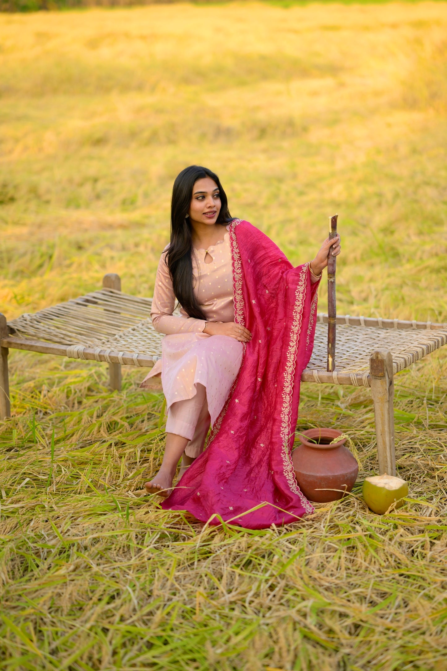 Tissue Brocade Salwar Suit