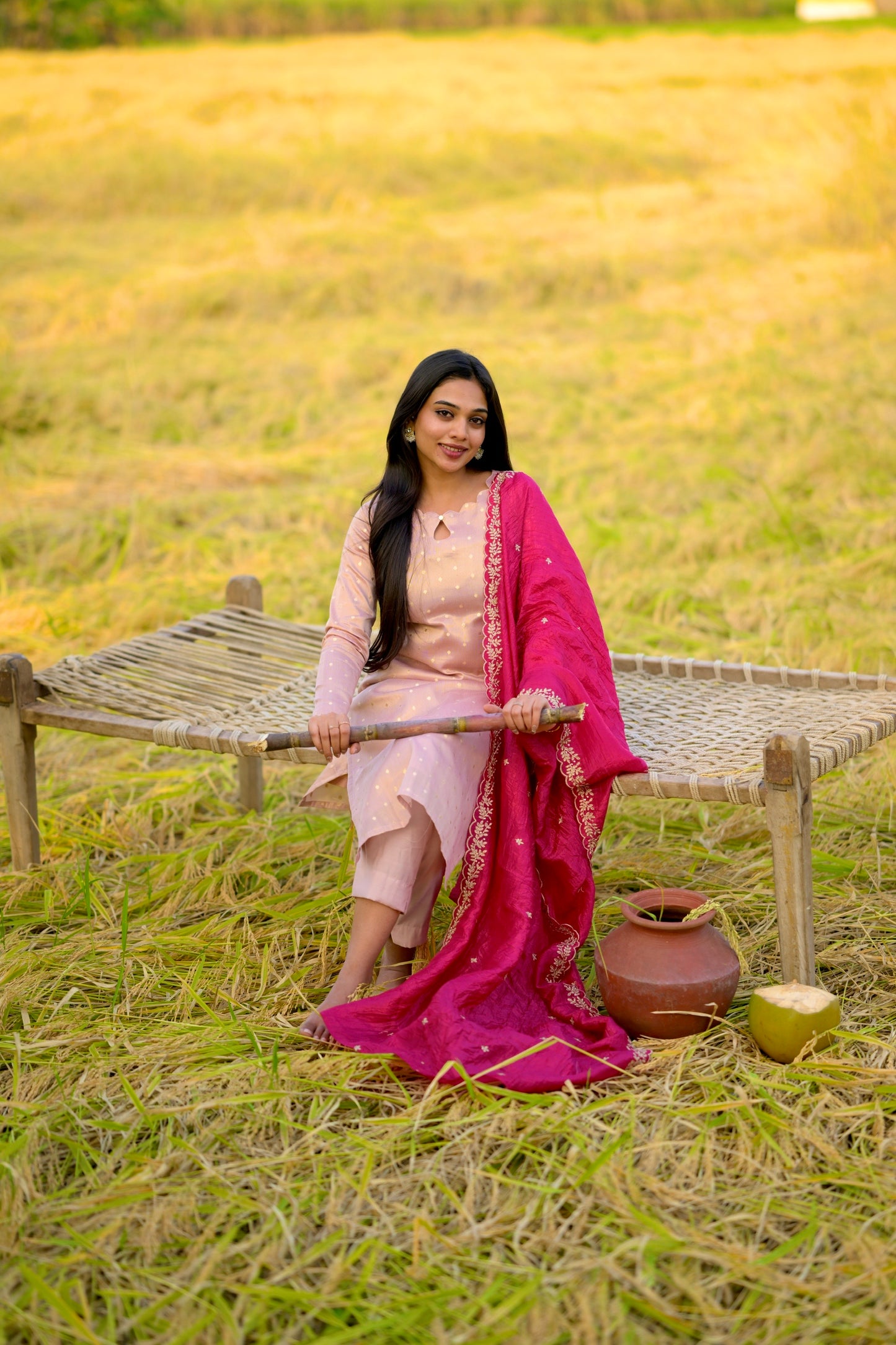 Tissue Brocade Salwar Suit
