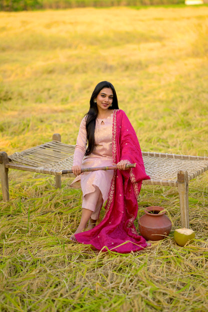 Tissue Brocade Salwar Suit