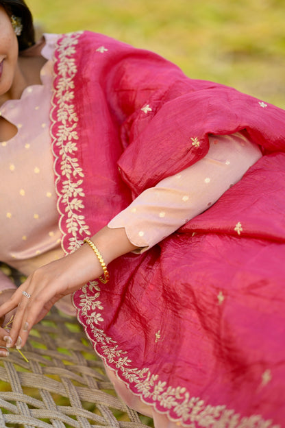 Tissue Brocade Salwar Suit